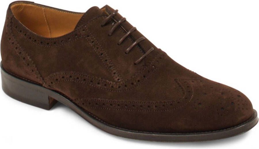 Steppin' Out Brighton Brogue Schoenen Bruin Heren Nette schoenen