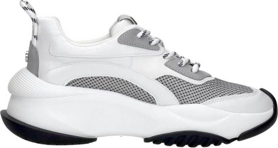 Steve Madden Belissimo Lage sneakers Dames Wit - Foto 3