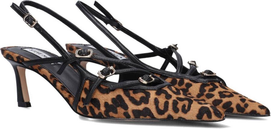 Steve Madden Liana-l Hakken Dames Bruin