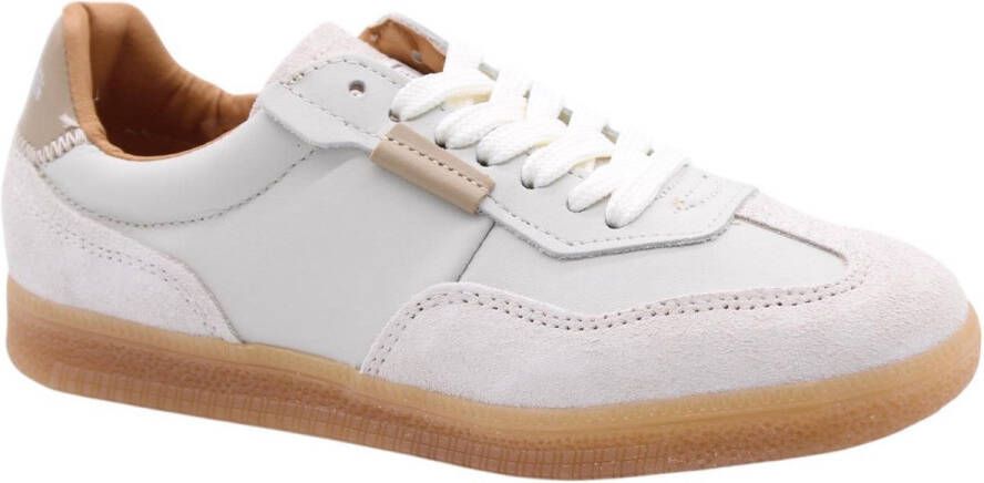 Steve Madden Petra Sneaker voor een stijlvolle look