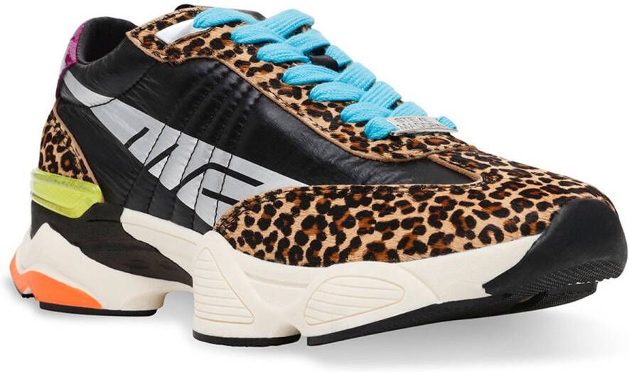 Steve Madden Setback Schoenen Zwart Vrouw