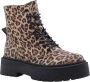 STEVE MADDEN Skylar Leopard veterboots Beige Suede Veterboots Dames - Thumbnail 1
