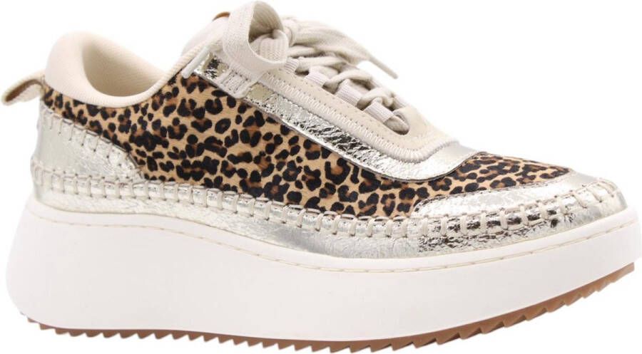 Steve Madden Ethora-L suède sneakers met panterprint beige lila - Foto 3