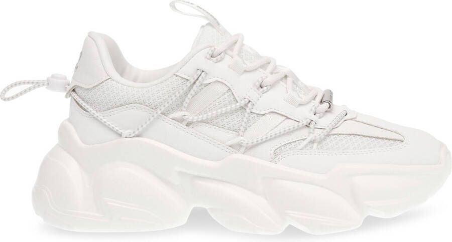 Steve Madden Spectator White Sneaker SM11002961-04005-11E