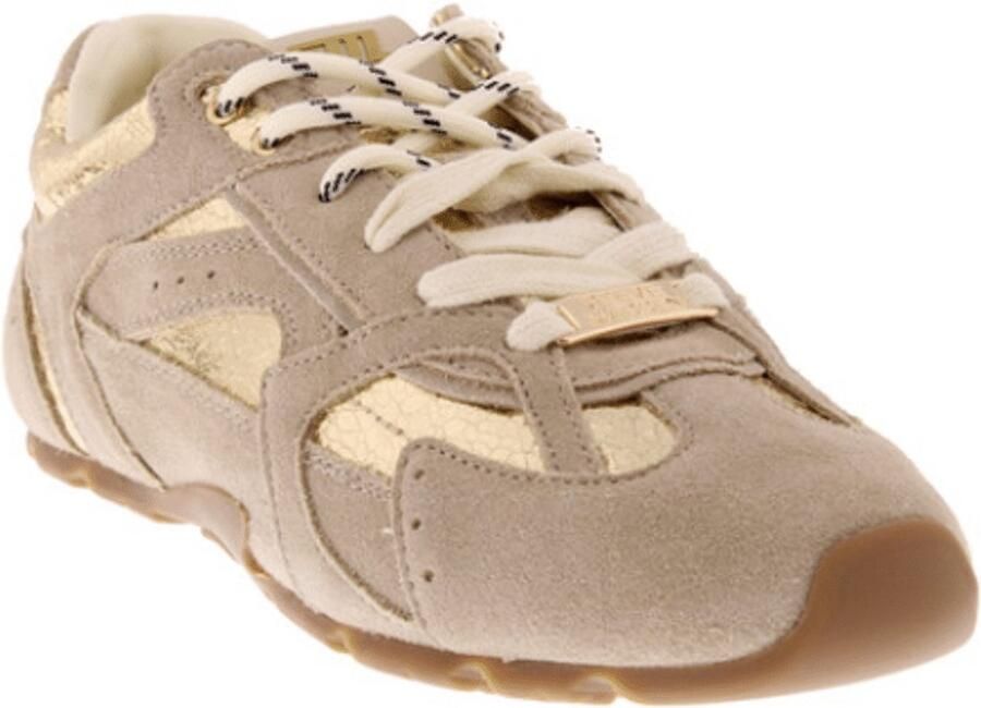 Steve Madden Dames Sneaker Asiel Gold Beige