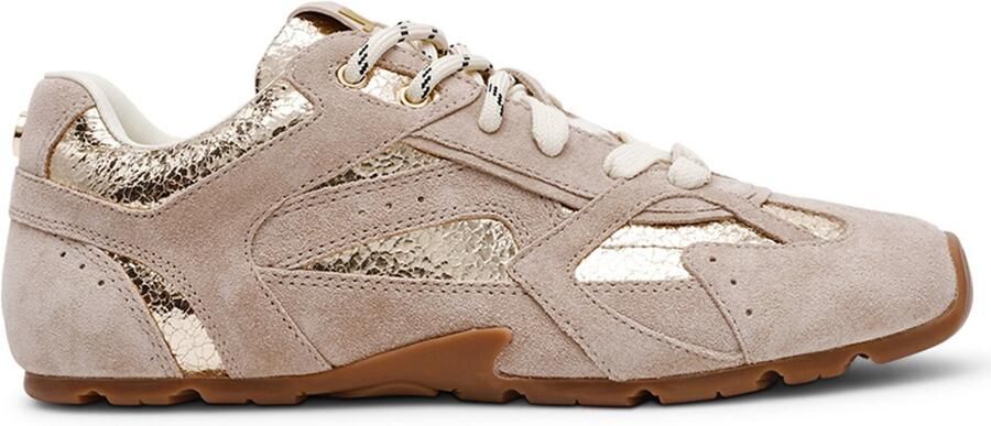 Steve Madden Dames Sneaker Asiel Gold Beige