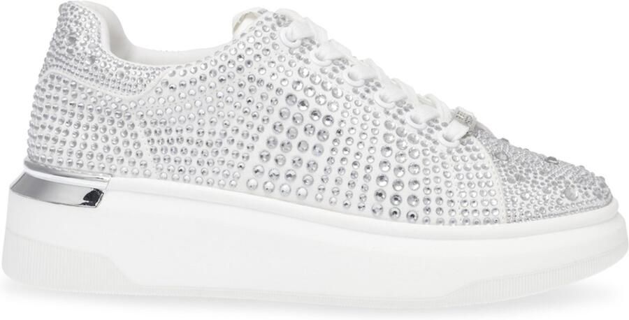 STEVE MADDEN Sneakers laag 'Globes' zilver offwhite