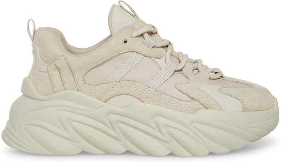 Steve Madden Sneakers Baskets femme Wave