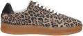Steve Madden Sneakers in all-over look model 'Euphoria' - Bruin