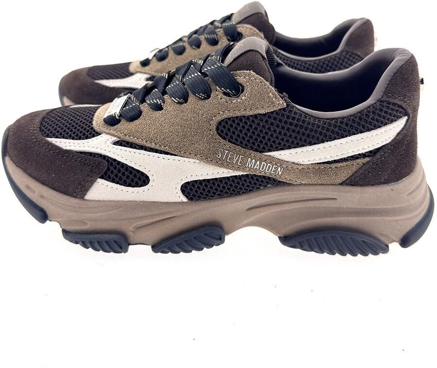 STEVE MADDEN Sneakers laag crème mokka donkerbruin