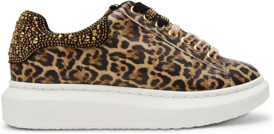 Steve Madden Schoenen dames Gaze-2C