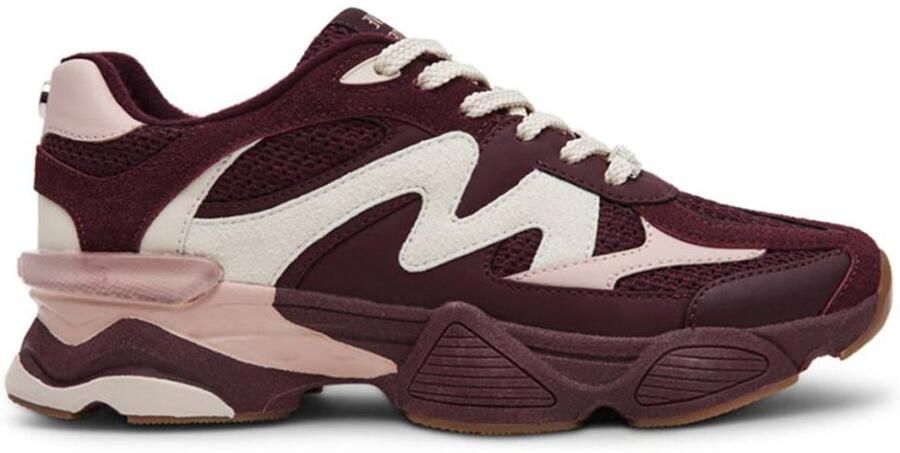 Steve Madden Speeder lage sneakers