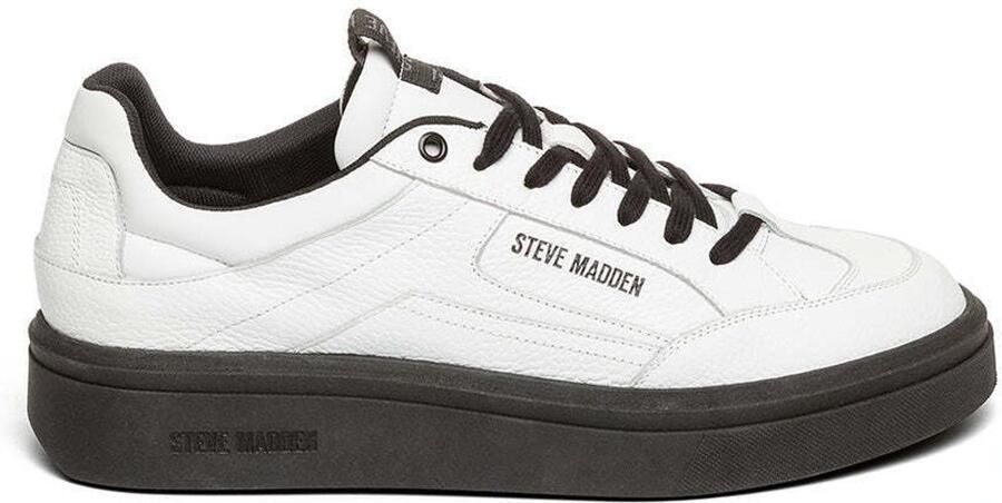 Steve Madden Trainers Orlando