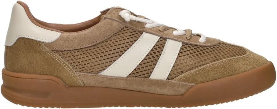 STEVE MADDEN Sneakers laag 'Verdict' camel wit