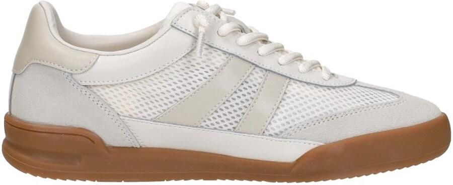 Steve Madden Verdict Sneakers Laag Wit