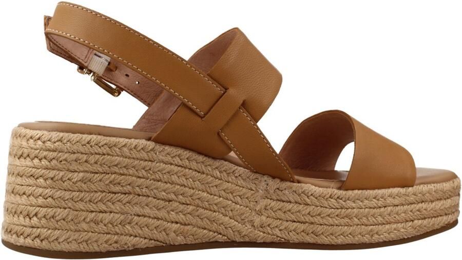 Stonefly IVORY 3 Bruin