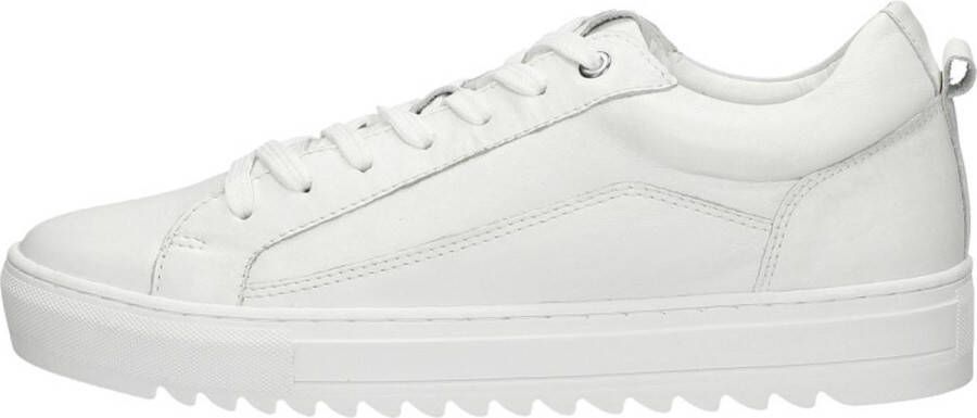 Sub55 Heren sneakers Veterschoenen Laag wit