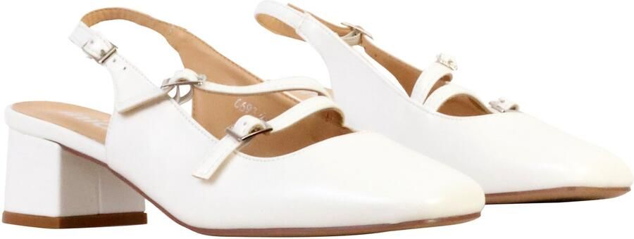 Super Mode Inia terugslagpomp