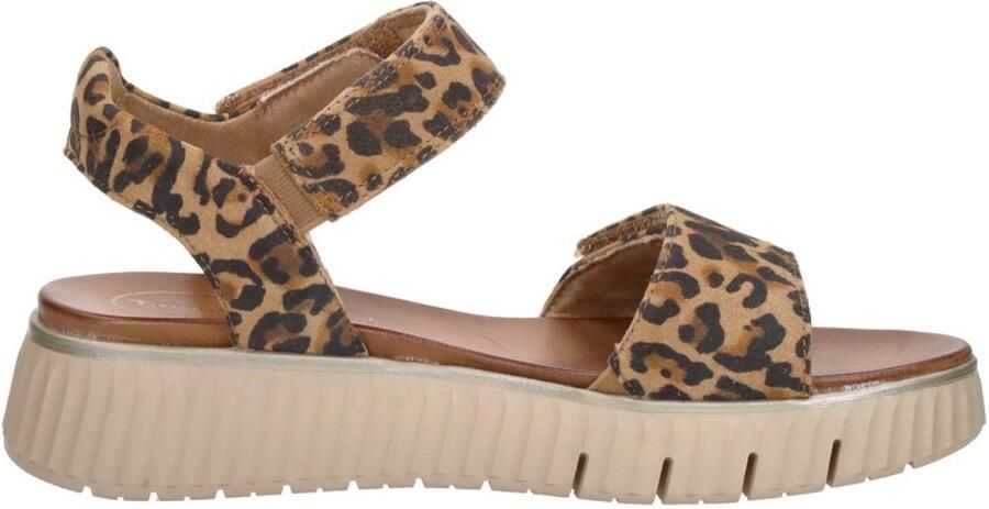 Tamaris COMFORT Essentials Dames Sandalen LUIPAARD - Foto 2