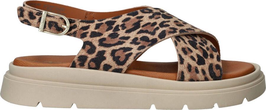 Tamaris Leopard Sandalen bruin Leer Dames