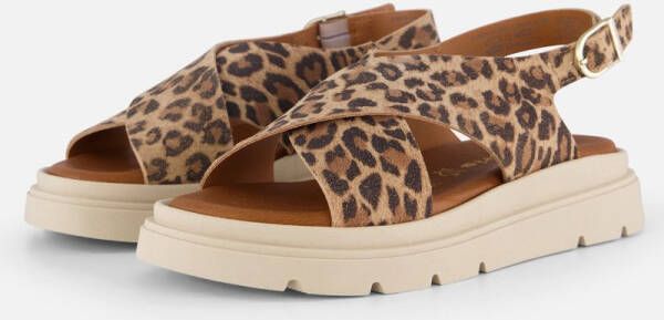 Tamaris Leopard Sandalen bruin Leer Dames