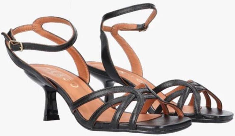 Tango Mya 8-c 100 Black Sandalen