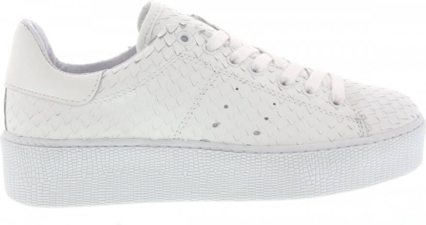 Tango | Chantal 12-o white leather sneaker print white sole | Maat: 40 -  Schoenen.nl
