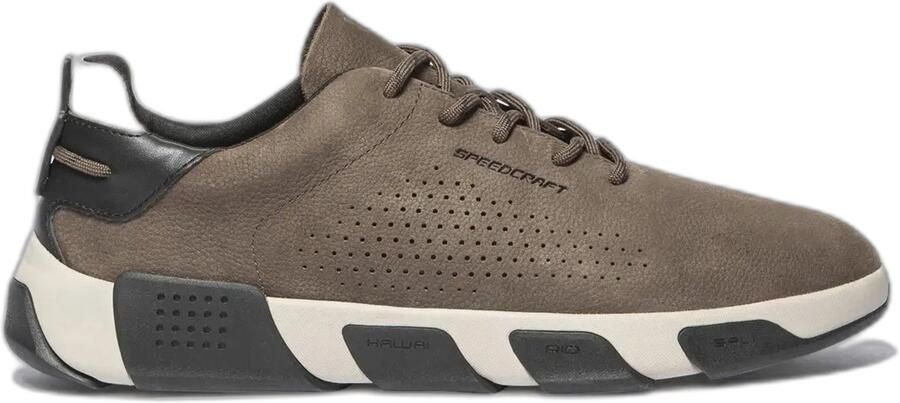 TBS Trainers Jazbary
