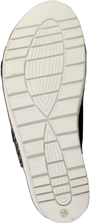 The Divine Factory Alénoa muiltjes