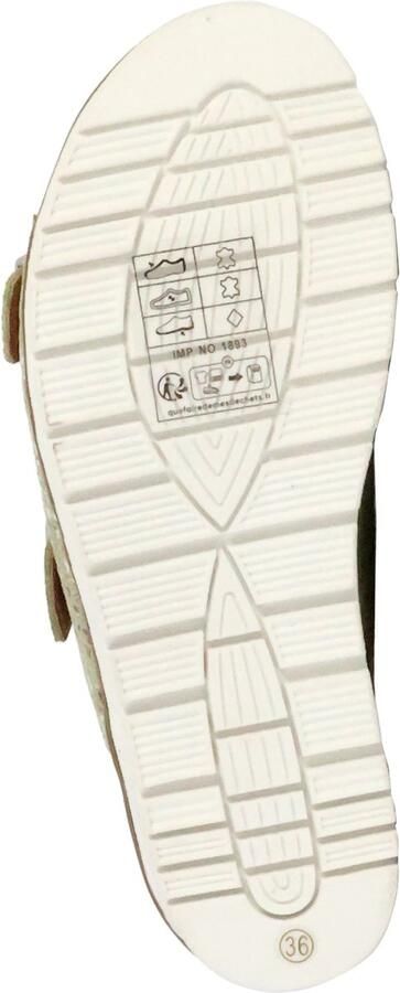 The Divine Factory Alénoa muiltjes