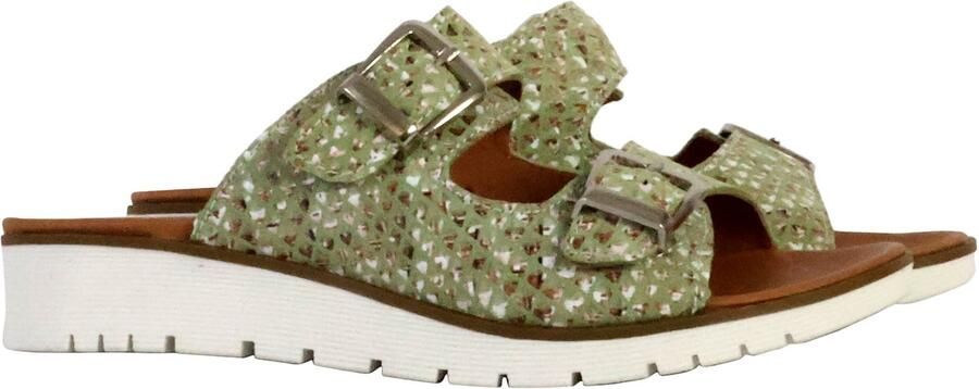 The Divine Factory Alénoa muiltjes