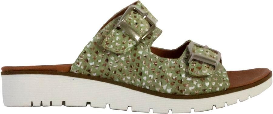 The Divine Factory Alénoa muiltjes