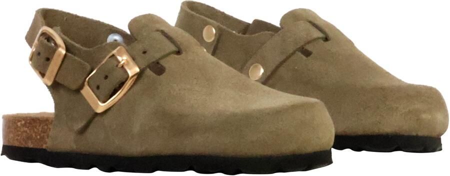 The Divine Factory Kinderleer muiltje Noga Boreali BS Edge