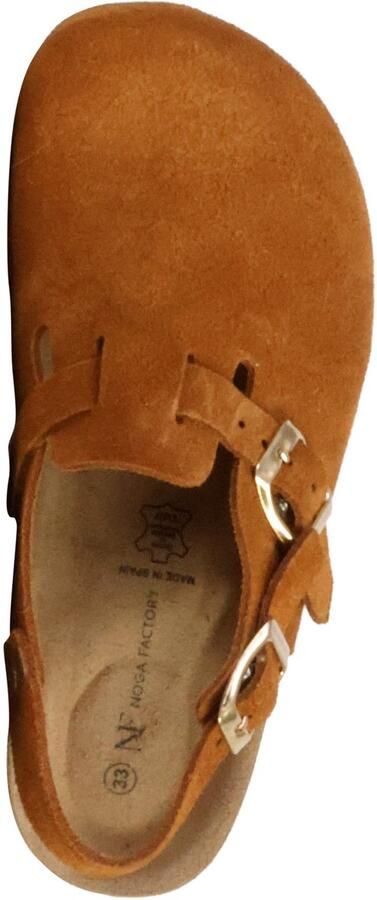 The Divine Factory Kinderleer muiltje Noga Boreali BS Edge