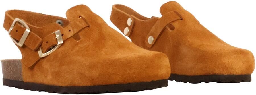 The Divine Factory Kinderleer muiltje Noga Boreali BS Edge