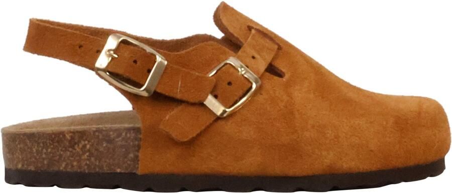 The Divine Factory Kinderleer muiltje Noga Boreali BS Edge