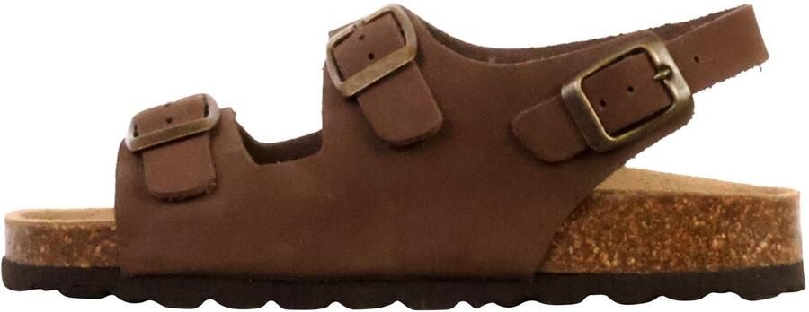 The Divine Factory Kinderleer muiltje Noga Mistraly BS Edge