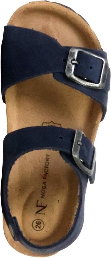 The Divine Factory Kinderleer muiltje Noga Orion Edge