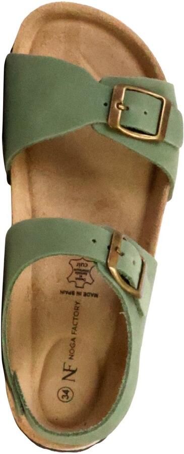 The Divine Factory Kinderleer muiltje Noga Orion Edge