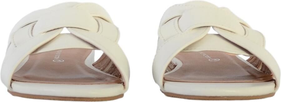 The Divine Factory Plat muiltje