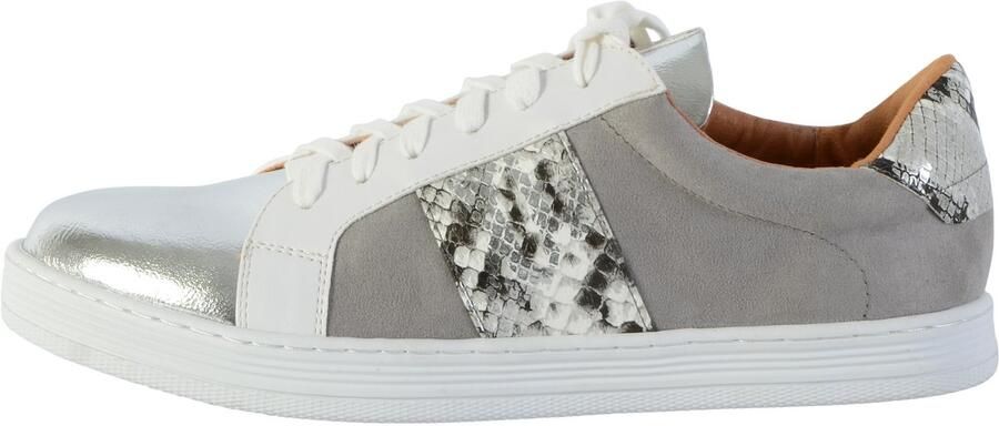 The Divine Factory Trainers