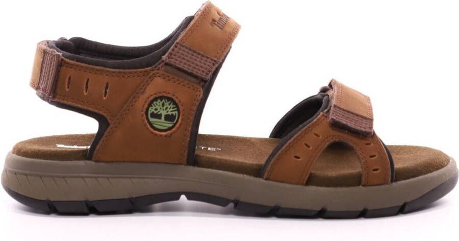 Timberland Sandalen Governor'S Island 2 Strap Sandal 0A1Q Bark