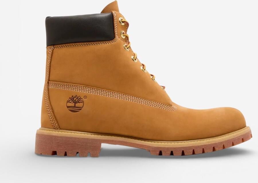Timberland 6 Inch Premium Boot 'Wheat
