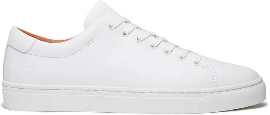 Timberland Dover Park Low Schoenen Wit Man