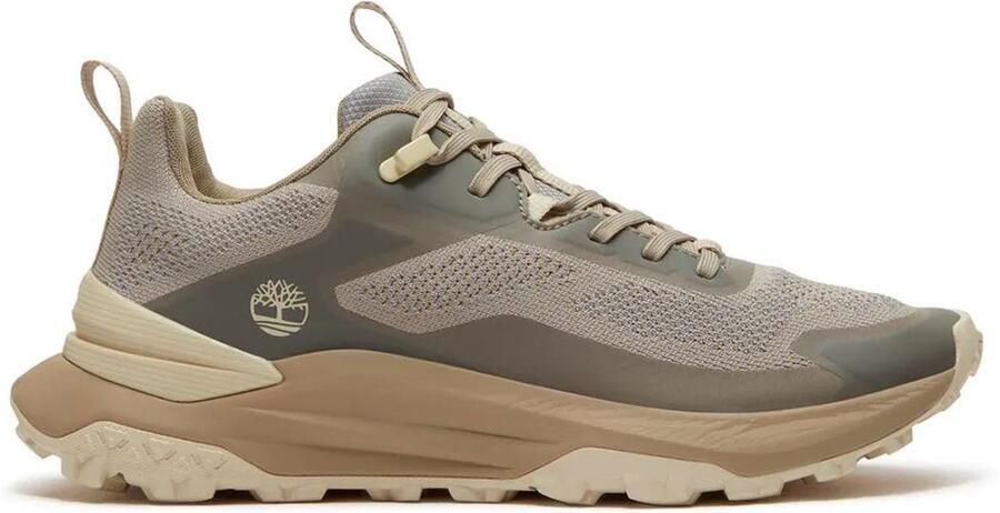 TIMBERLAND Sneakers laag 'DJKENN' grijs aardetinten