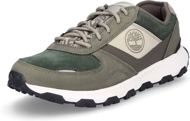 Timberland Winsor Park Oxford Sneakers Groen Man