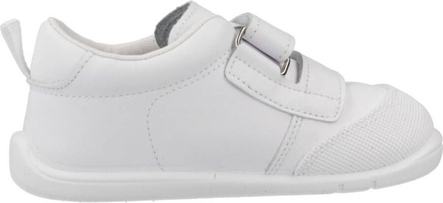 Titanitos Sneakers B500 ORSO