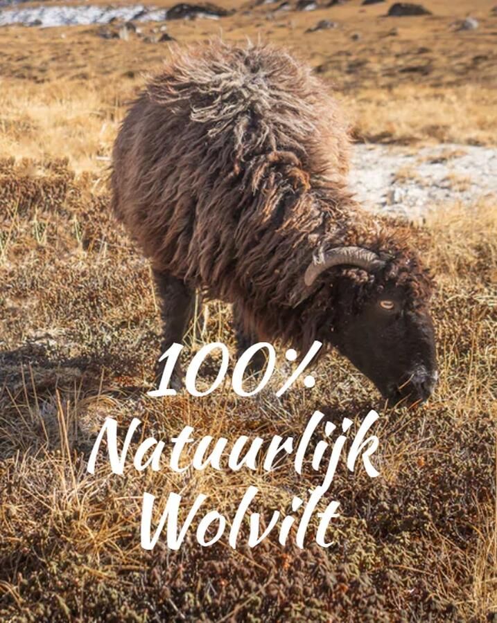 Tofvel Rabara Wolvilt Sloffen Natural Delta Beige Wolvilt TF200099 - Foto 3