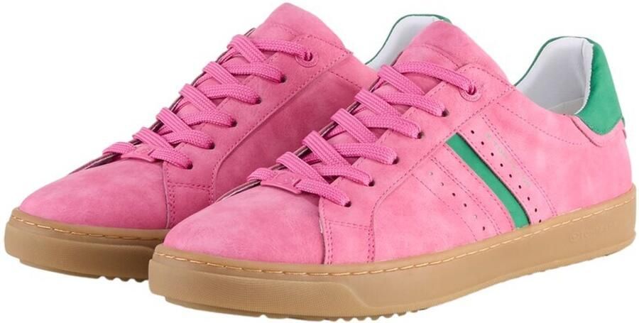 Tom Tailor Trainers met kleurblokjes Shoes Licence