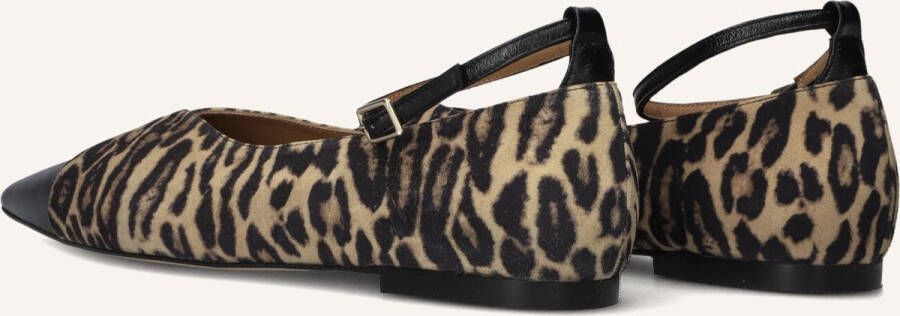 TORAL Ballerina Dames Cristelle Maat: 41 Materiaal: Suède Kleur: Bruin - Foto 3